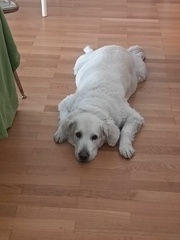 k-IMG 20220518 104102