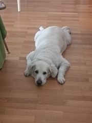 k-IMG 20220518 104103