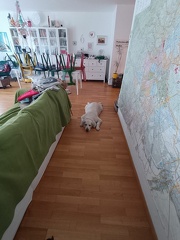 k-IMG 20220518 104107