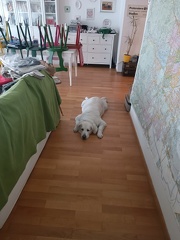 k-IMG 20220518 104109