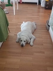 k-IMG 20220518 104111