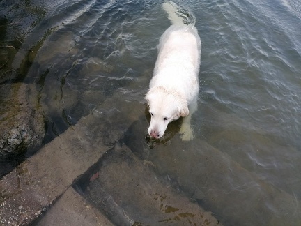 k-IMG 20220605 060623