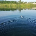 k-IMG 20220605 060750