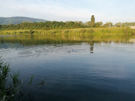 k-IMG 20220605 060808