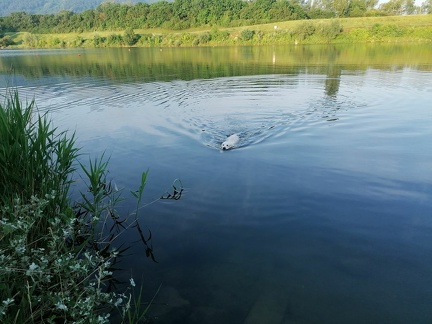 k-IMG 20220605 060816