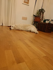 k-IMG 20220616 214659