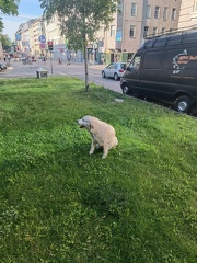 k-IMG 20220621 182759