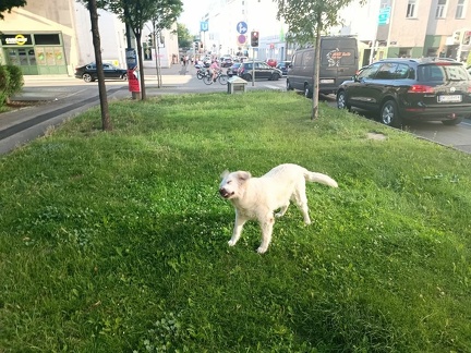 k-IMG 20220621 182814