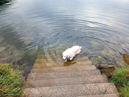 k-IMG 20220904 083933