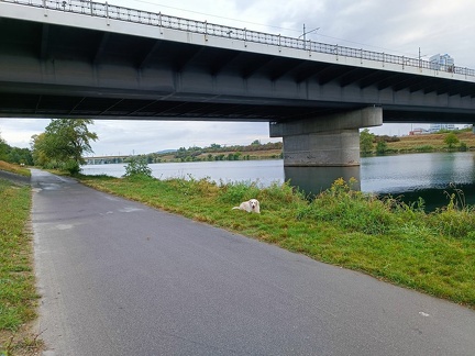 k-IMG 20220904 090806