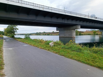 k-IMG 20220904 090807