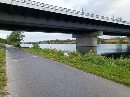 k-IMG 20220904 090808