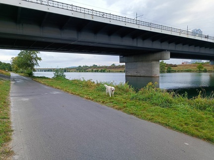 k-IMG 20220904 090809