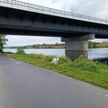 k-IMG 20220904 090809 1