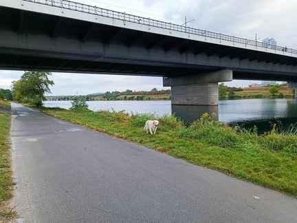 k-IMG 20220904 090809 1