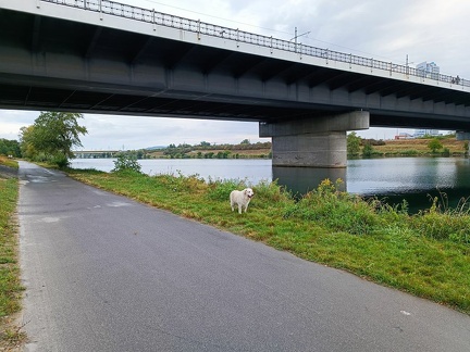 k-IMG 20220904 090810