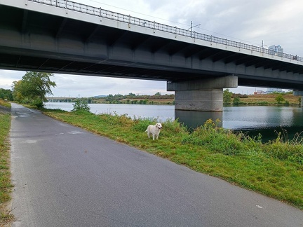 k-IMG 20220904 090811