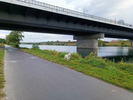 k-IMG 20220904 090812