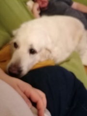 k-IMG 20221020 184006