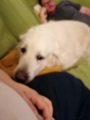 k-IMG 20221020 184007