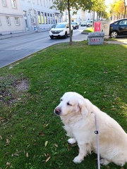 k-IMG 20221106 112612