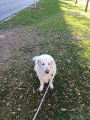 k-IMG 20221106 112654