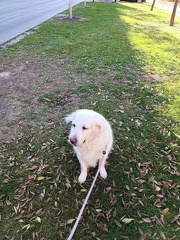 k-IMG 20221106 112655