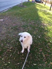 k-IMG 20221106 112657