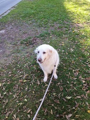 k-IMG 20221106 112659