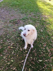 k-IMG 20221106 112701