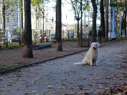 k-IMG 20221112 145045