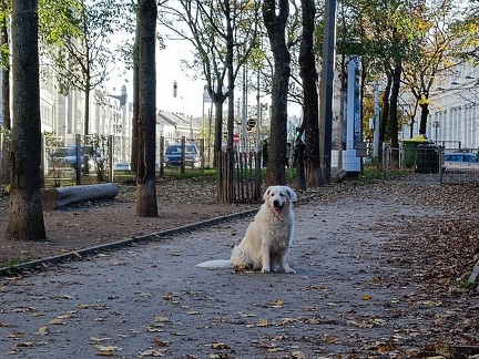 k-IMG 20221112 145046