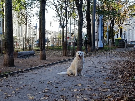 k-IMG 20221112 145047