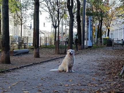 k-IMG 20221112 145049