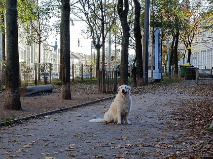 k-IMG 20221112 145050