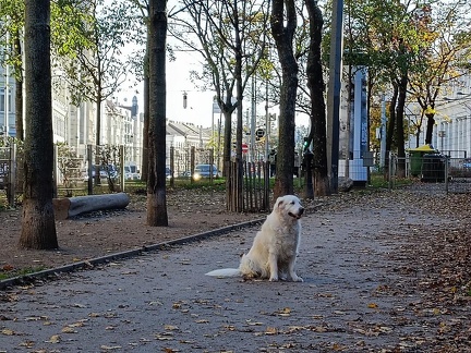 k-IMG 20221112 145052