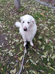 k-IMG 20221127 075525